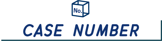 CASE NUMBER