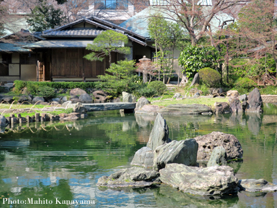 名庭園を訪ねる　その２